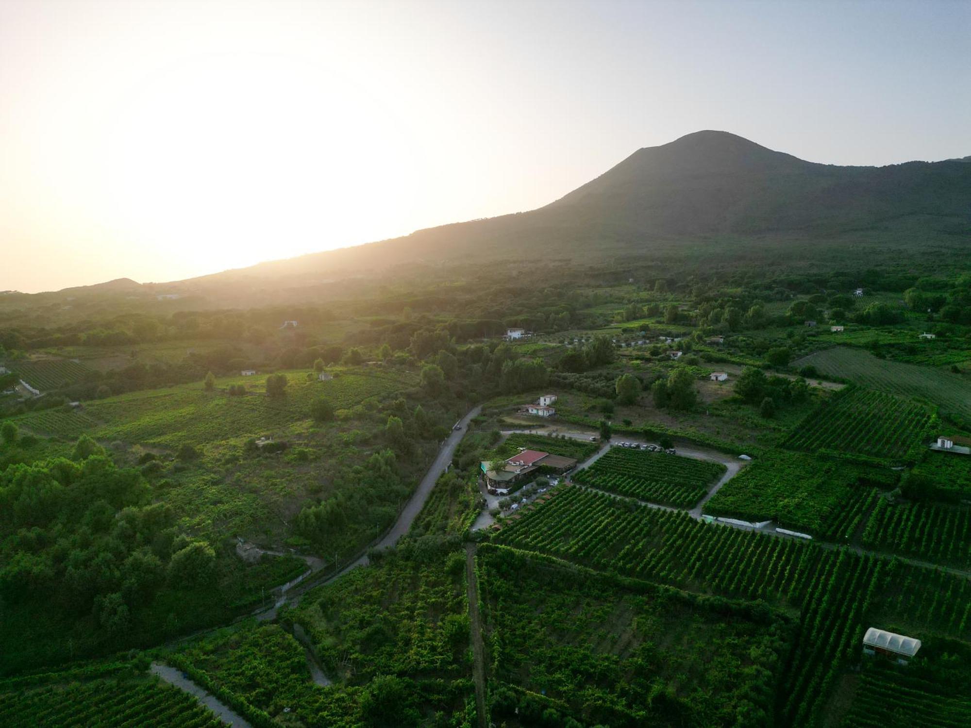 Vesuvio Inn Bed & Wine Experience Boscotrecase Экстерьер фото
